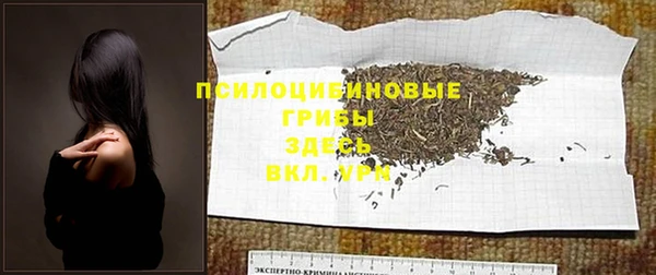 спайс Пестово