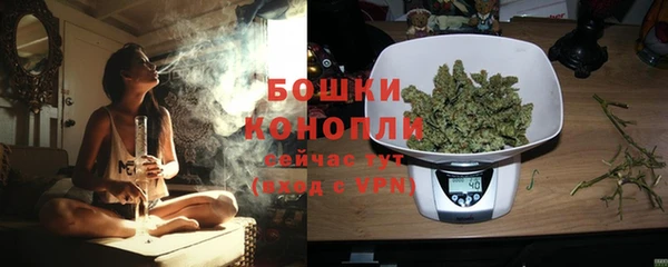 прущие грибы Покачи
