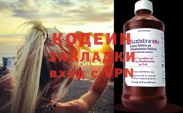 прущие грибы Покачи