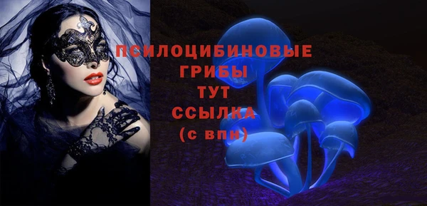 спайс Пестово